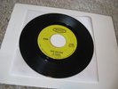 **The Remains/ Diddy Wah Diddy b/w Once Before/ Epic/ 1966/ Canada/ Rare Garage