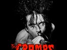 THE CRAMPS LIVE TRENTON 1982 LIMITED 7