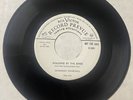 Savannah Churchill Striders 45 Walking By The River/If I Didn't Love RCA DJ HEAR