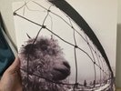 PEARL JAM -Vs- 1993 US Vinyl LP gatefold Epic Records