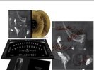 Duran Duran - Danse Macabre Translucent Galaxy Vinyl & SIGNED PRINT PRESALE