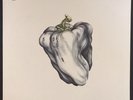 Ween - White Pepper - Mushroom Records 2000  - Black Vinyl - EX
