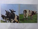 Pink Floyd Atom Heart Mother Harvest EMS-80320 Japan  VINYL LP