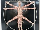 Leeway-Born To Expire LP Vinyl 1989 US”PROMO”Profile Records PRO 1257 EX EX RARE