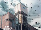 Blackbird Returns 2LP - Fat Freddy's Drop 2 x Vinyl, LP, Album