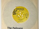 The Pelicans Pelicans b/w New Wave 1978 Canada 7” 45 Record Punk Rare KBD VG+