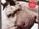 SUEDE : THE WILD ONES  12