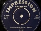 The CMJ Trio - I Can’t Do It All By Myself - Vinyl 7” Record Single - Very Rare