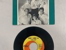 The Beach Boys: When I Grow Up / She Knows Me Too Well (Vinyl 45) Picture Sleeve