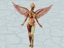 Nirvana - In Utero (30th Anniversary) | [Black Vinyl LP] | UMR /