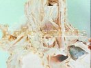 Pale Saints IN RIBBONS (CLEAR) 30th Anniversary REMASTERED New Sealed Vinyl 2 LP