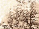 Trampled by Turtles - Duluth [New Vinyl LP] 180 Gram