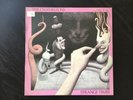 The Chameleons UK Strange Times PINK euro press Mark Burgess 