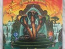 SIGNED Terra Firma by Tash Sultana (Record, 2021)