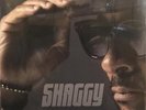 Shaggy - Hot Shot 2020 - New Vinyl Record - Z1256z