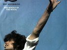 The Waterboys - The Whole Of The Moon 7