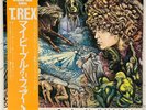 Tyrannosaurus Rex - My People Were Fair JAPAN LP OBI 1983 ROCK T-REX AUDIOPHILE