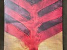yeah yeah yeahs - show your bones vinyl - new/sealed