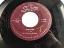 Rare Canada 1958 Rock 45 *Kip Tyler and His Flips* Jungle Hop  Sparton