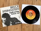 Bruce Springsteen - Tenth Avenue Freeze Out / She's the one Holland 7