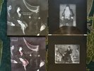 Duran Duran Danse Macabre Translucent Galaxy SIGNED Autographed PRINT Vinyl LP