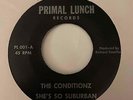 Rare Punk Power Pop KBD 45 THE CONDITIONZ She's So Suburban/House Divided HEAR