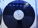 SLANG - KNOCK U OUT (REISSUE)      DETROIT ELECTRO MODERN BOOGIE FUNK