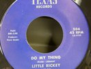 Little Rickey & The Rhythm Express Do My Thing Black Molly RnB Soul 45 on Texas