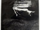 BILL EVANS UNDERCURRENT LIBERTY LBJ60051 JAPAN VINYL LP