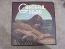 The Grateful Dead Wake Of The Flood vinyl LP