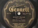 Black Birds of Paradise Gennett 6211 Muddy Water Sugar 78 RPM Jazz Record V+