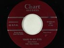 Doo-Wop 45 - Tru-Tones - Tears In My Eyes - Chart - VG+
