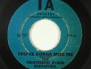 Garage Psych 45 - Thirteenth Floor Elevators - You're Gonna Miss Me - IA