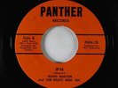 Garage Soul 45 - Ward Burton - If'n - Panther - VG+