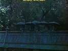 Nucleus Under the Sun (Vinyl) 12