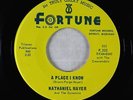 R&B Soul 45 - Nathaniel Mayer - A Place I Know/Don't Come Back - Fortune