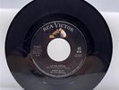Lenny Miles Living Dream / Donna's Gone 45 RCA 47-8011 Northern Soul 1962