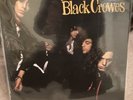 The Black Crowes - Shake Your Money Maker - 12
