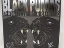 Black Pumas - Chronicles of a Diamond Silver Vinyl Signed Autographed Of 500