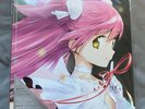 Puella Magi Madoka Magica Ultimate Best Limited Edition Vinyl LP Analog Record