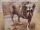 ALICE IN CHAINS Self Titled TRIPOD Green 2xLP Vinyl Open Played 1 Time NM/MT