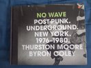 NO WAVE Post-Punk New York 1976-1980 Thurston Moore Lydia Lunch DNA Mars BOOK