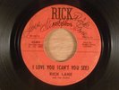 Rick Lane & The People  I Love You (Can't You See)/Love Me Baby  RARE  Garage