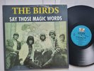 THE BIRDS - Say Those Magic Words 1960's GARAGE ROCK R&B Ron Wood Rolling Stones