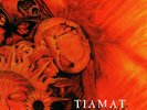 Tiamat - Wildhoney - Used Vinyl Record - Z2508z