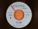 The Lavender Hour I'm Sorry/Hang Loose RARE  Texas Garage 1967 Steffek Records