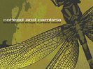 Coheed and Cambria Second Stage Turbine Blade (Vinyl) (US IMPORT)