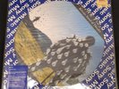Pink Floyd, Delicate Sound Of Thunder Picture Disc Brazil  Vinyl Record