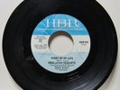 1967 UNRELATED SEGMENTS 45 Record STORY OF MY LIFE / IT'S UNFAIR * Garage Rock *