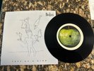 Free As A Bird 7